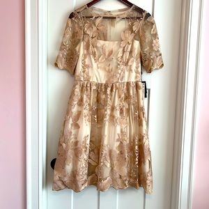 Adrianna Papell NWT Blush Gold Size 8 Party Dress